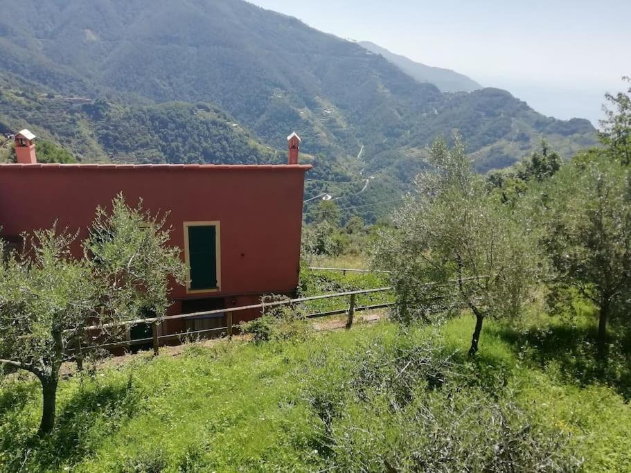 Quiet And Cozy Home With Wi-Fi Casa Prearino Vernazza Exterior photo