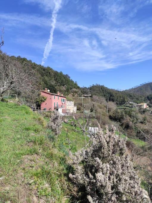 Quiet And Cozy Home With Wi-Fi Casa Prearino Vernazza Exterior photo